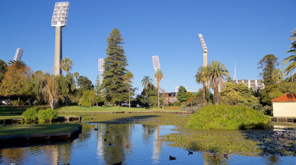Queens Gardens showing a park and a pond