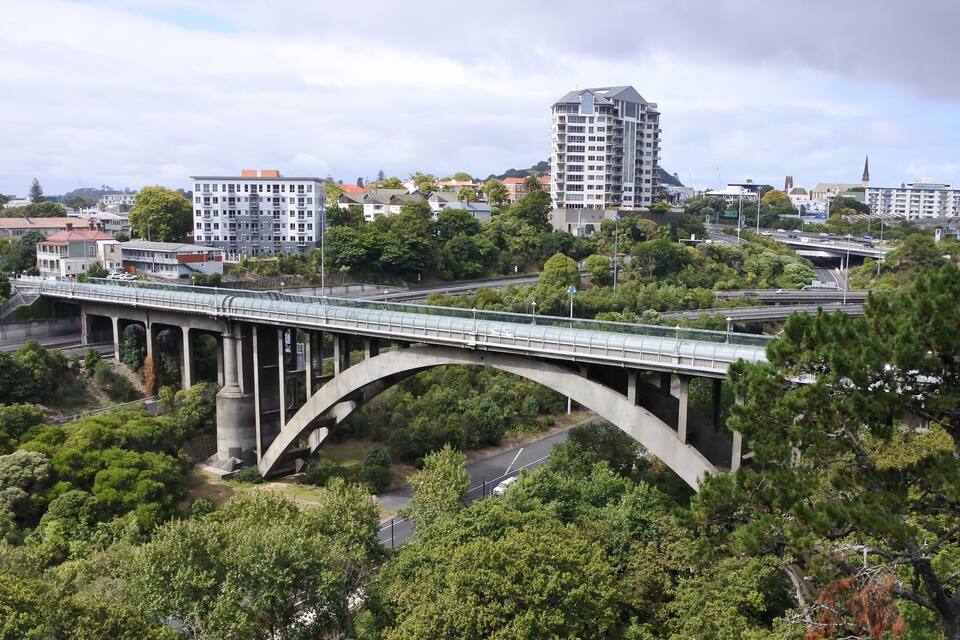 Un pont amb un passeig per a vianants sobre una carretera, envoltat d'arbres i edificis.