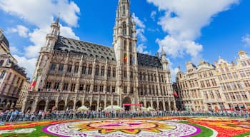 Brussels, Belgium.