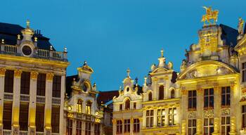 La Grand Place showing a castle, heritage architecture and night scenes