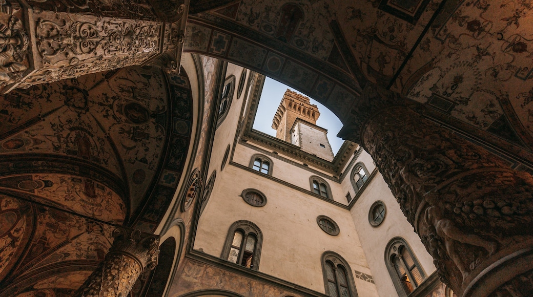 Piazza della Signoria featuring heritage architecture