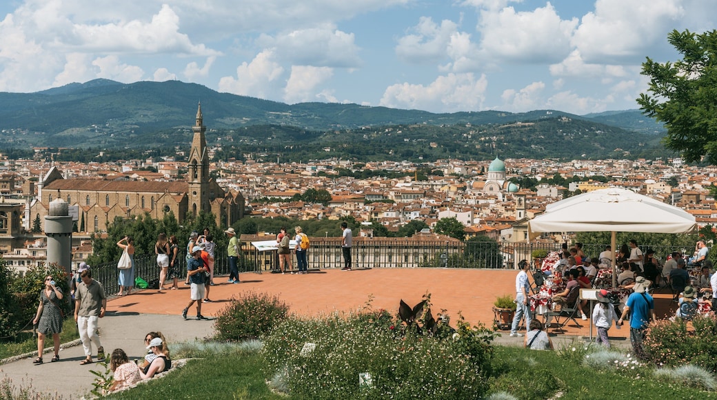 Piazzale Michelangelo featuring views, a city and landscape views