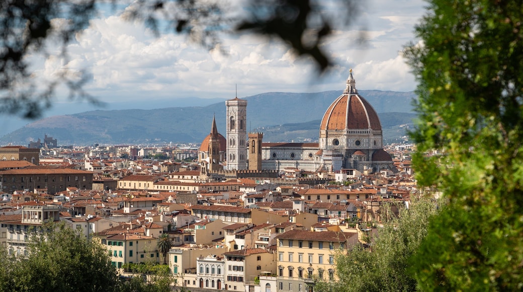 Arcetri showing a city and landscape views