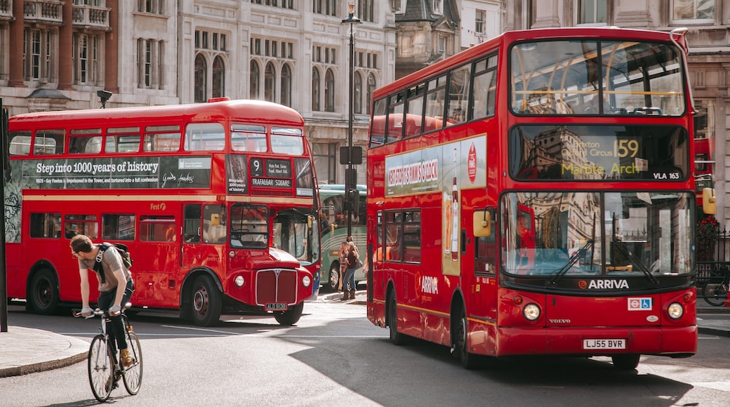 Trafalgar Square featuring street scenes and a city