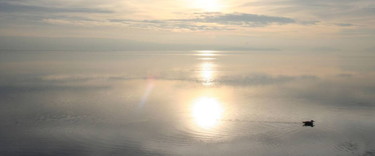 A calm body of water reflecting the sun and clouds.