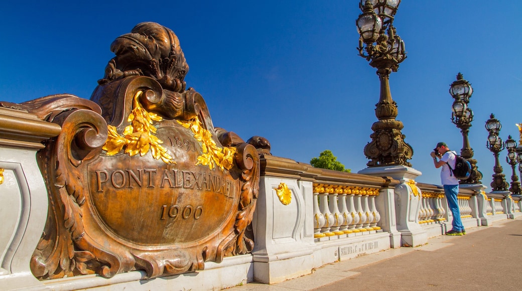 Pont Alexandre-III which includes heritage elements, views and signage