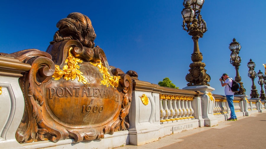 Pont Alexandre-III which includes heritage elements, views and signage
