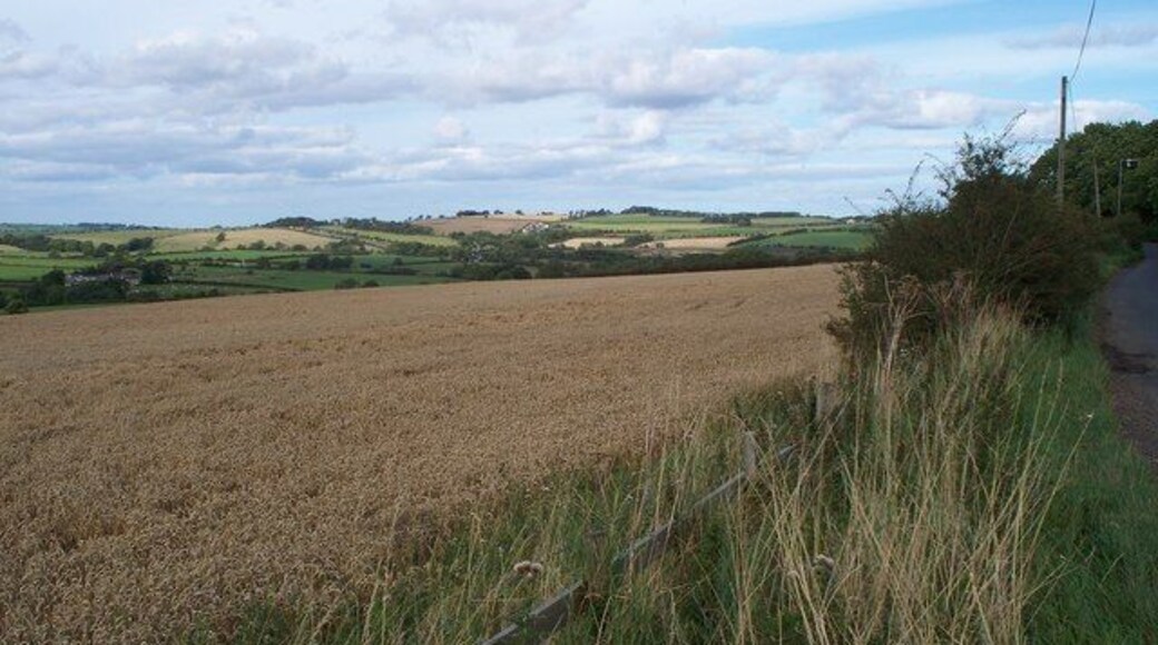 The view Looking NorthEast from the Chesterhill junction.Towards Shilbottle in the distance.