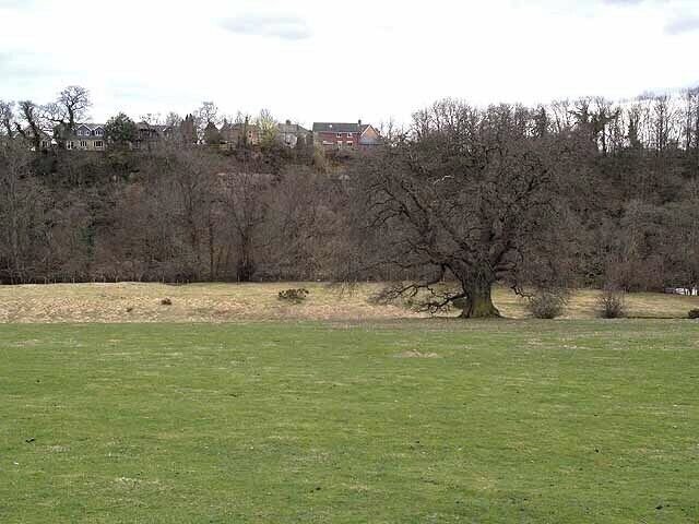 Looking across the Coquet from Felton Park Although not very apparent in this image, the houses of West Thirston on the opposite bank stand at the top of a formidable line of cliffs.
