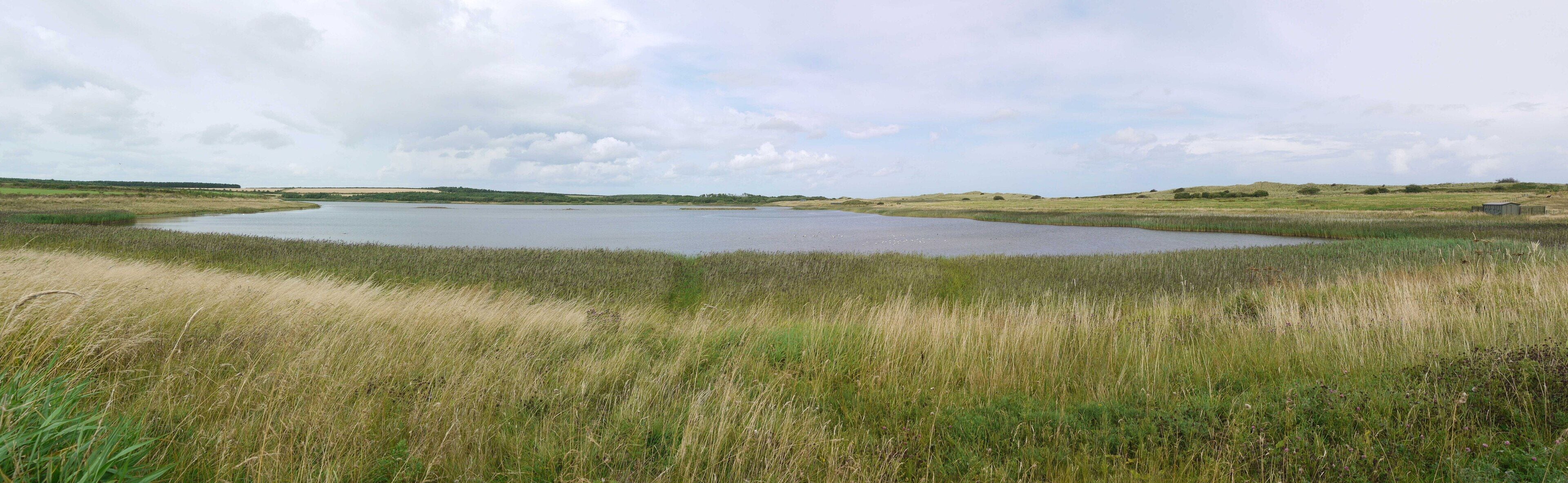 East Chevington Nature Reserve. One of the large Lakes and surrounding reed beds created from a former opencast coal mining site. Part of the larger Druridge Bay Nature Reserve, managed by The Northumberland Wildlife Trust. See link in 1451947 In August 2009, East Chevington Nature Reserve reed beds were home to the first marsh harrier chicks to have been bred in Northumberland for more than 100 years The breeding shows the success of the reed beds on the reserve, which are still developing on the site following its return from opencast mining in the 1990s http://news.bbc.co.uk/1/hi/england/tyne/8220603.stm