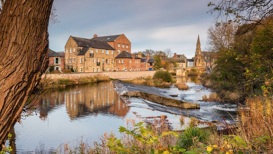 A river with a bridge, a tree, and a historic building with a church steeple in the background.