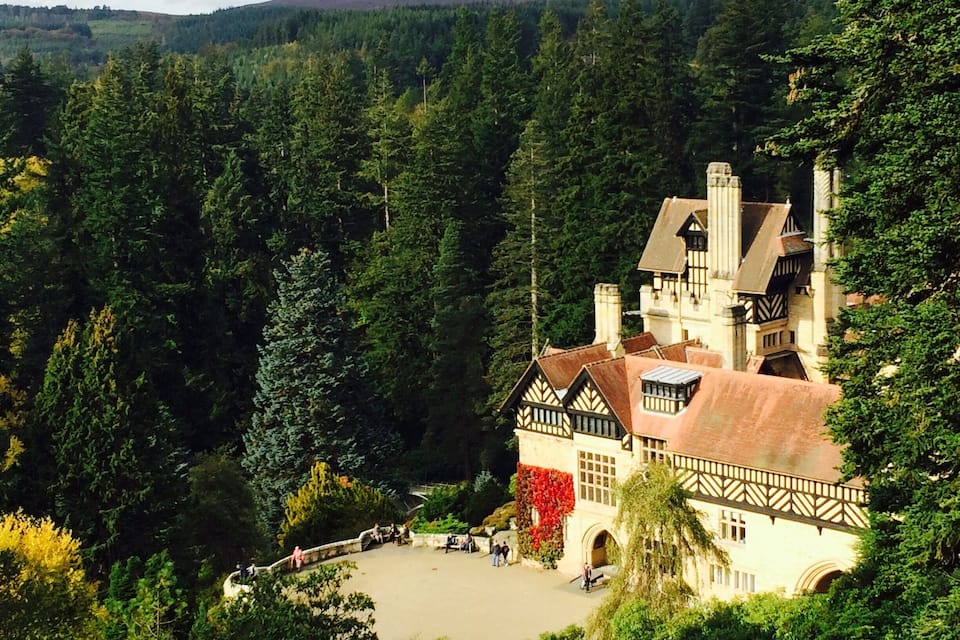 Una casa d'estil tudor envoltada de bosc dens.