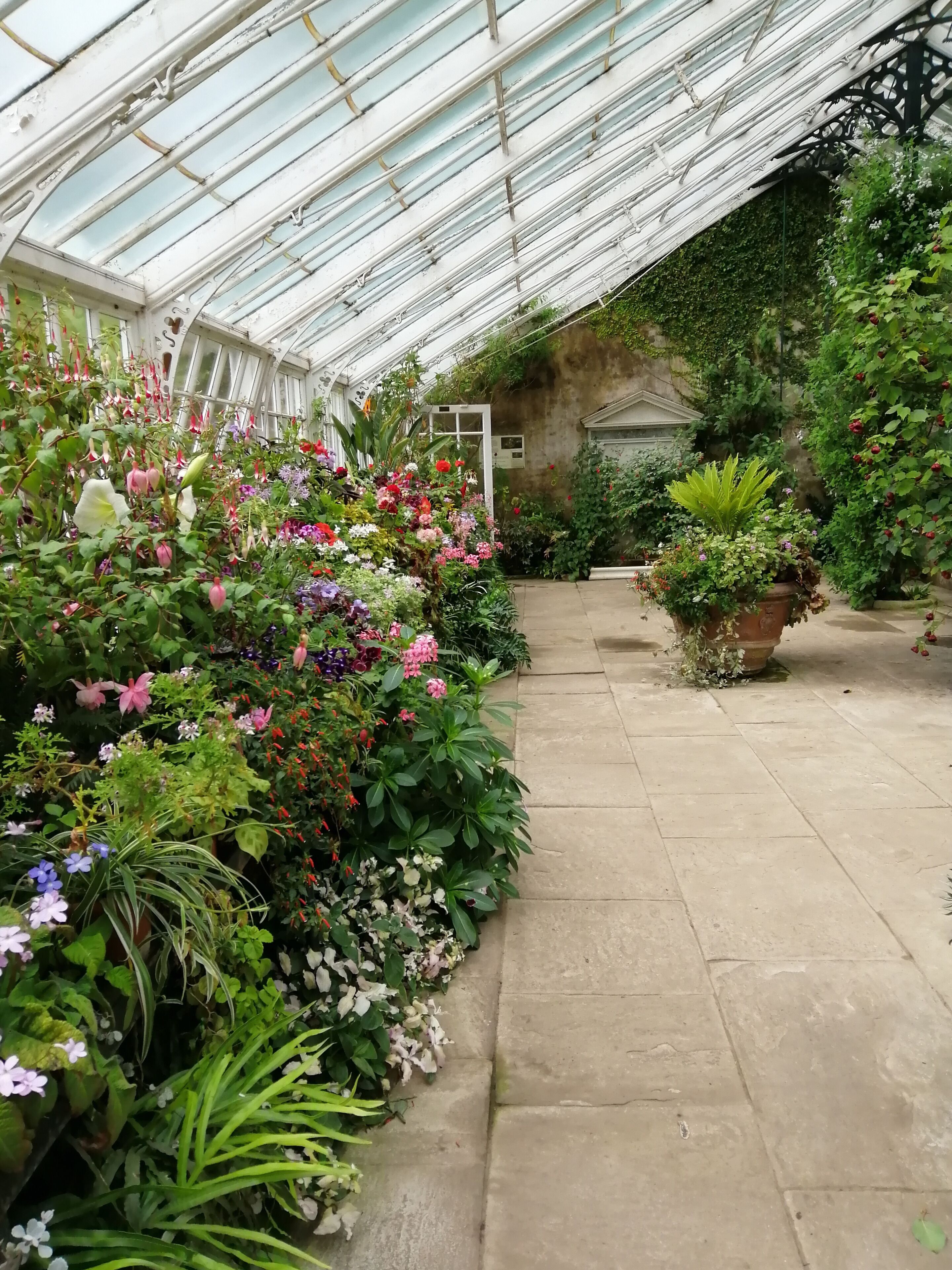 Greenhouse @ Wallington