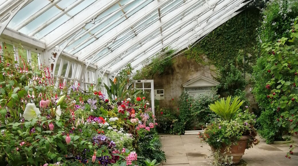 Greenhouse @ Wallington