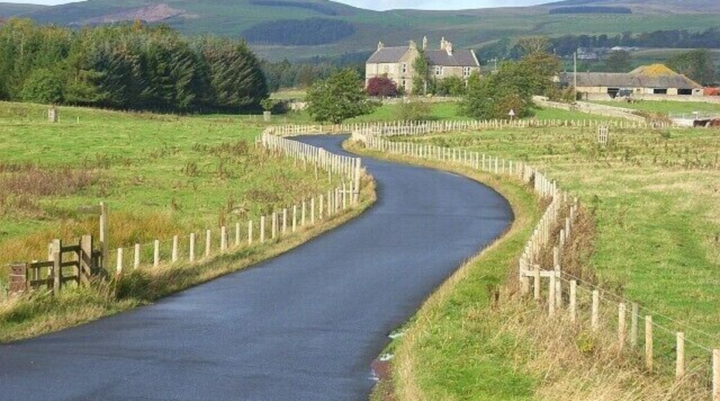 Road at Netherton The road from Rothbury approaches Netherton Burnfoot.