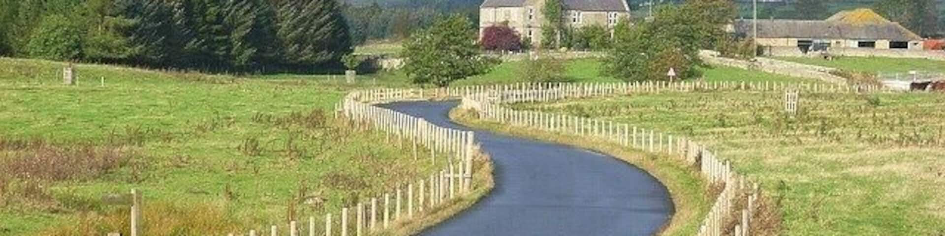 Road at Netherton The road from Rothbury approaches Netherton Burnfoot.