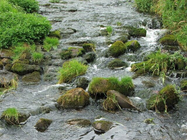 Netherton Burn The burn just below the fish ladder