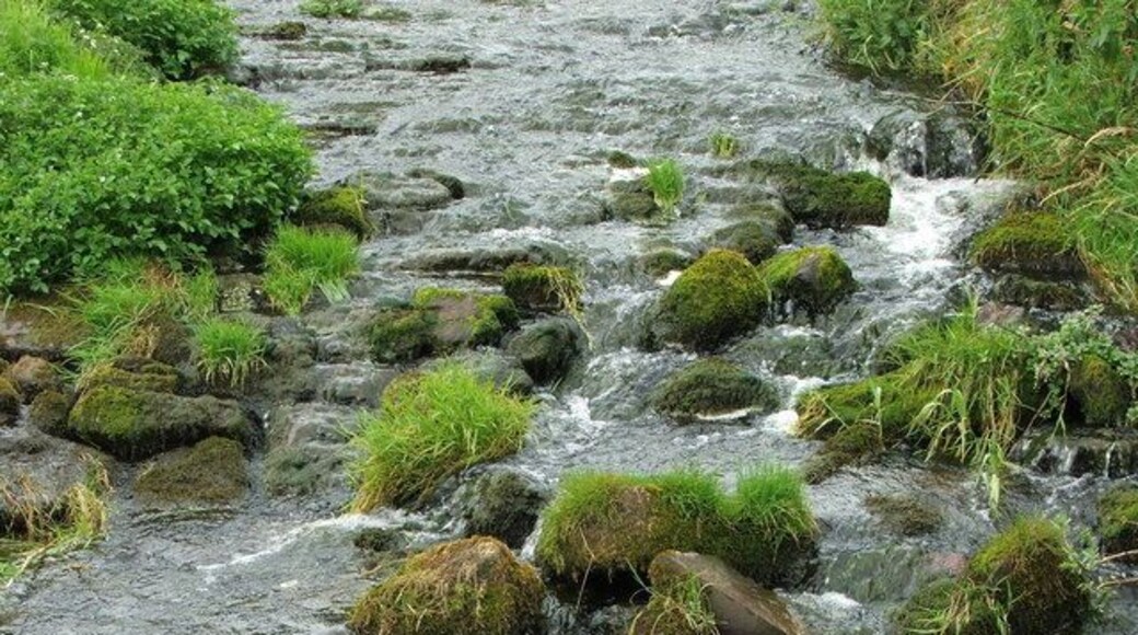 Netherton Burn The burn just below the fish ladder