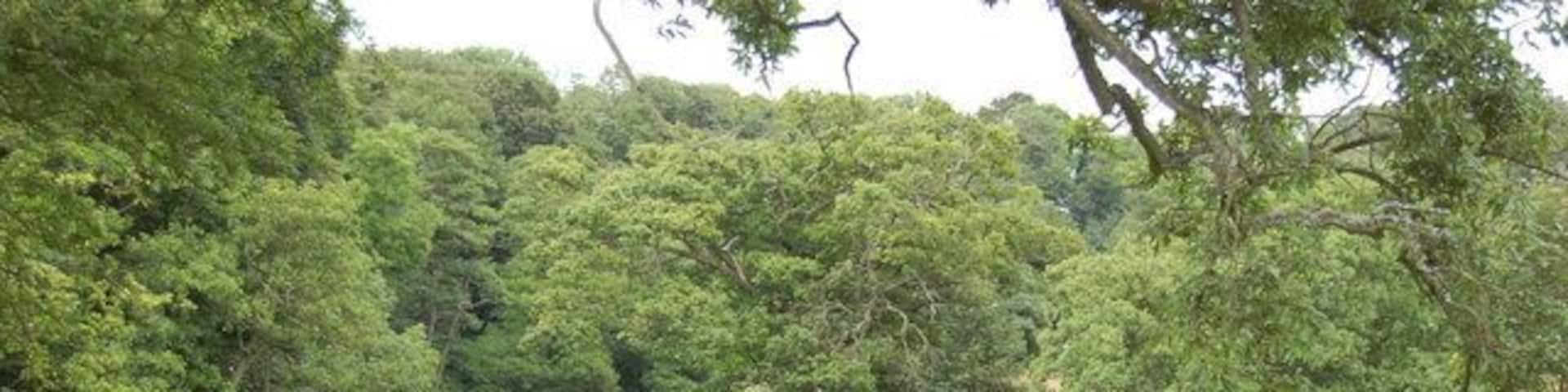 River Coquet The River Coquet with the St Oswalds Way Long Distance Path on the river bank.
