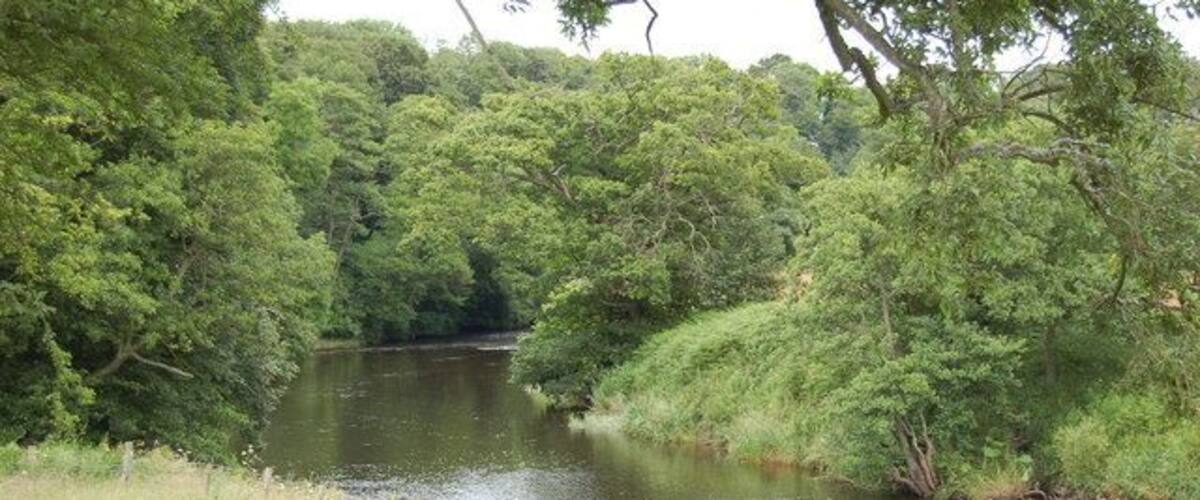 A river surrounded by dense greenery and trees.