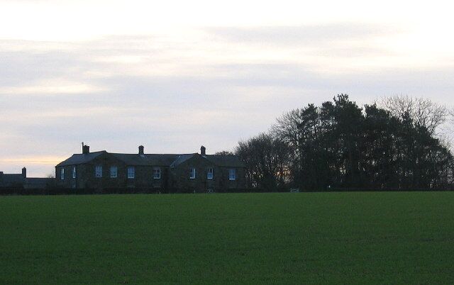 A large green field with a row of houses and a large tree in the background.