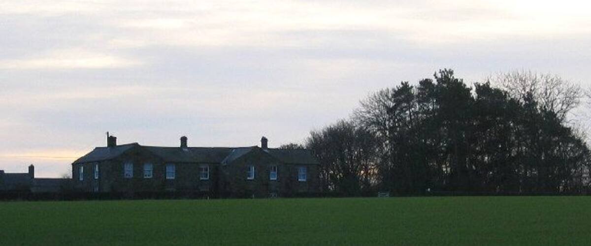 A large green field with a row of houses and a large tree in the background.