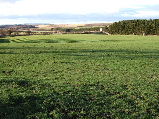 A vast green field with a line of trees in the background and a distant hill.