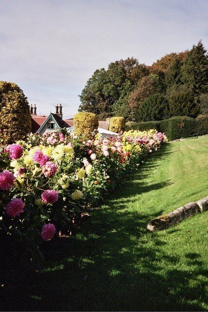 A garden with a row of colorful flowers, neatly trimmed hedges, and a well-maintained lawn.