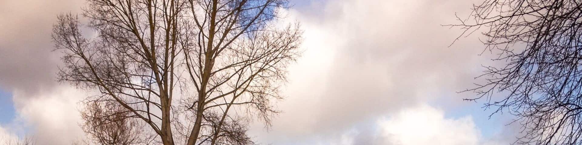 A nice view of the river from the park side of town