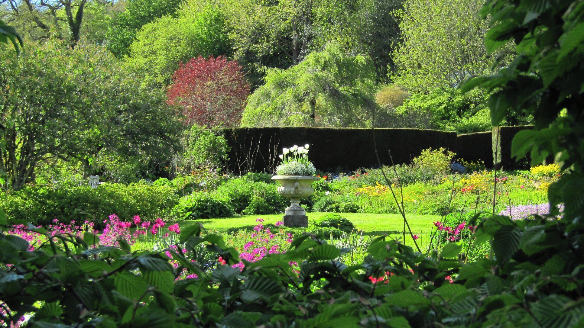 Beautiful house and gardens