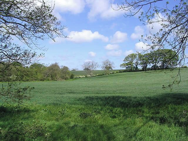 Arable farmland at East Thirston