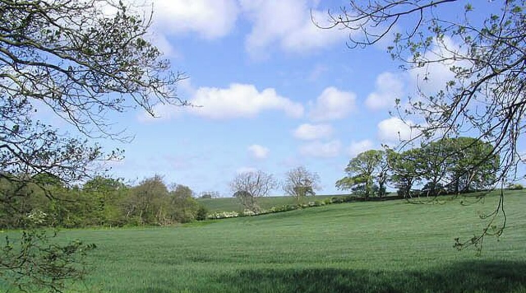 Arable farmland at East Thirston
