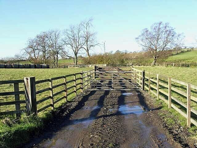 Gates near Longhorsley Off the Beacon Hill to Longhorsley road.