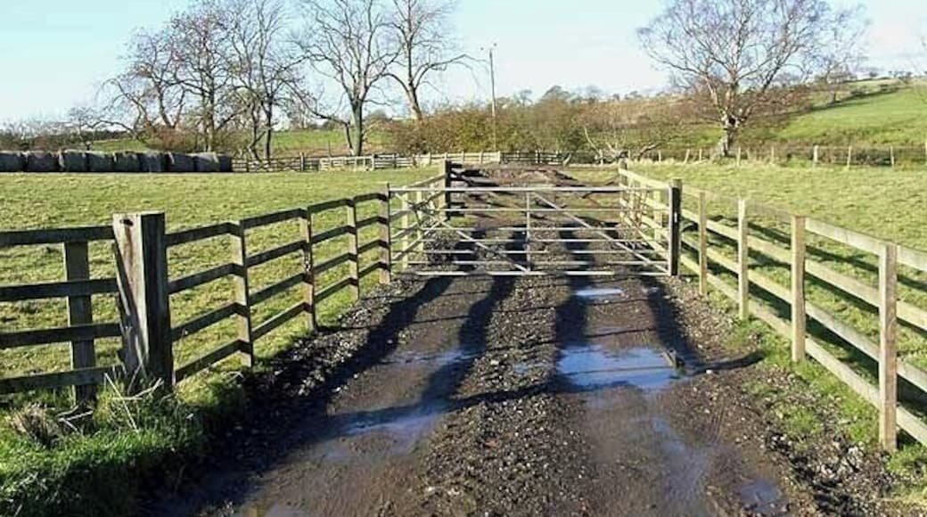 Gates near Longhorsley Off the Beacon Hill to Longhorsley road.