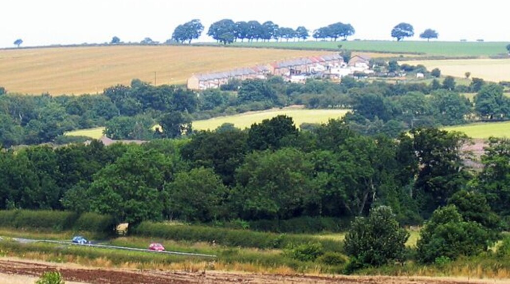 Hazon High Houses. The road in the foreground is the A1. Photograph taken from Newton On The Moor.