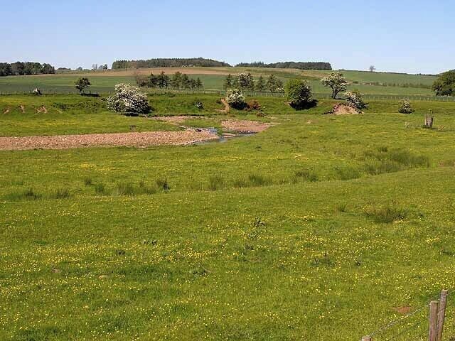 The Wreigh Burn Just below the confluence with the Netherton Burn. The arc of reeds in the foreground marks the site of a former stream bed or oxbow lake.