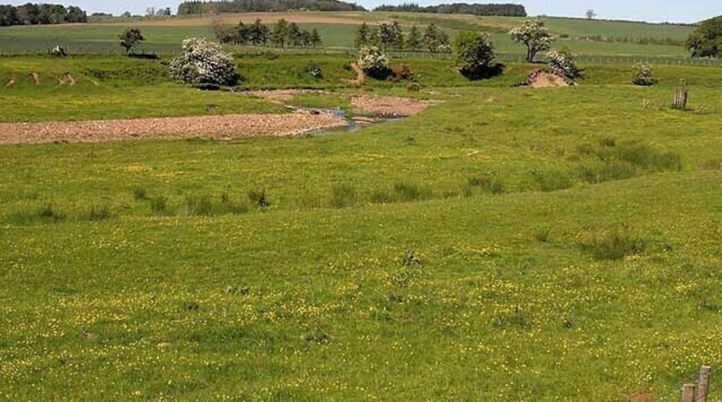 The Wreigh Burn Just below the confluence with the Netherton Burn. The arc of reeds in the foreground marks the site of a former stream bed or oxbow lake.