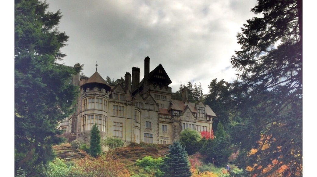 Great house and gardens. Has the first room in the world to be lot with filament bulbs. Huge grounds with a maze and lakes, 40 miles of tracks to explore.