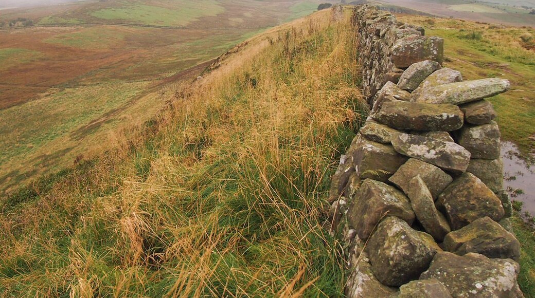 Northumberland National Park is situated in northern England. It's made up bogs, fields, rocky hills and marshes. It's bisected by Hadrian's Wall, which was the northernmost border of the Roman Empire.
#NationalPark