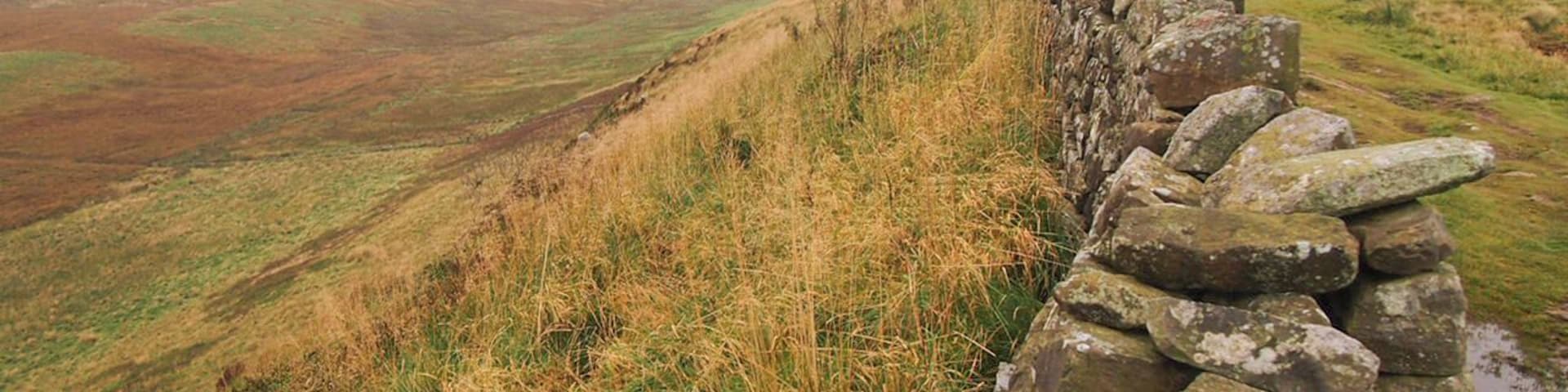 Northumberland National Park is situated in northern England. It's made up bogs, fields, rocky hills and marshes. It's bisected by Hadrian's Wall, which was the northernmost border of the Roman Empire.
#NationalPark