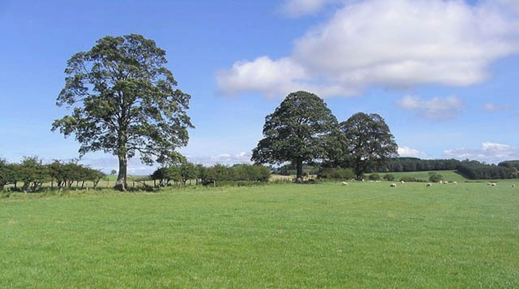 Pasture north of Netherton