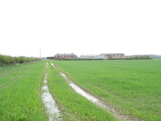 Cereal field at Low Middle Moor Farm Looking North toward the farm buildings.