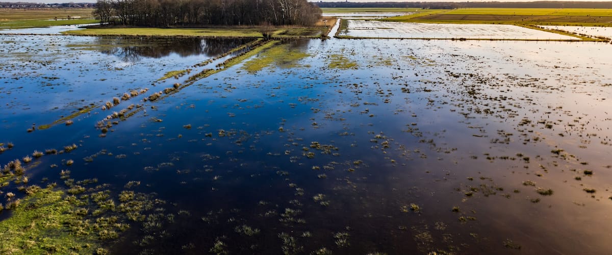 A field of farmland flooded by water near the city of Den Bosch, Noord-Brabant, Netherlands.