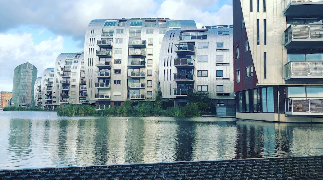 1 hour from Amsterdam there is amazing places to discover.