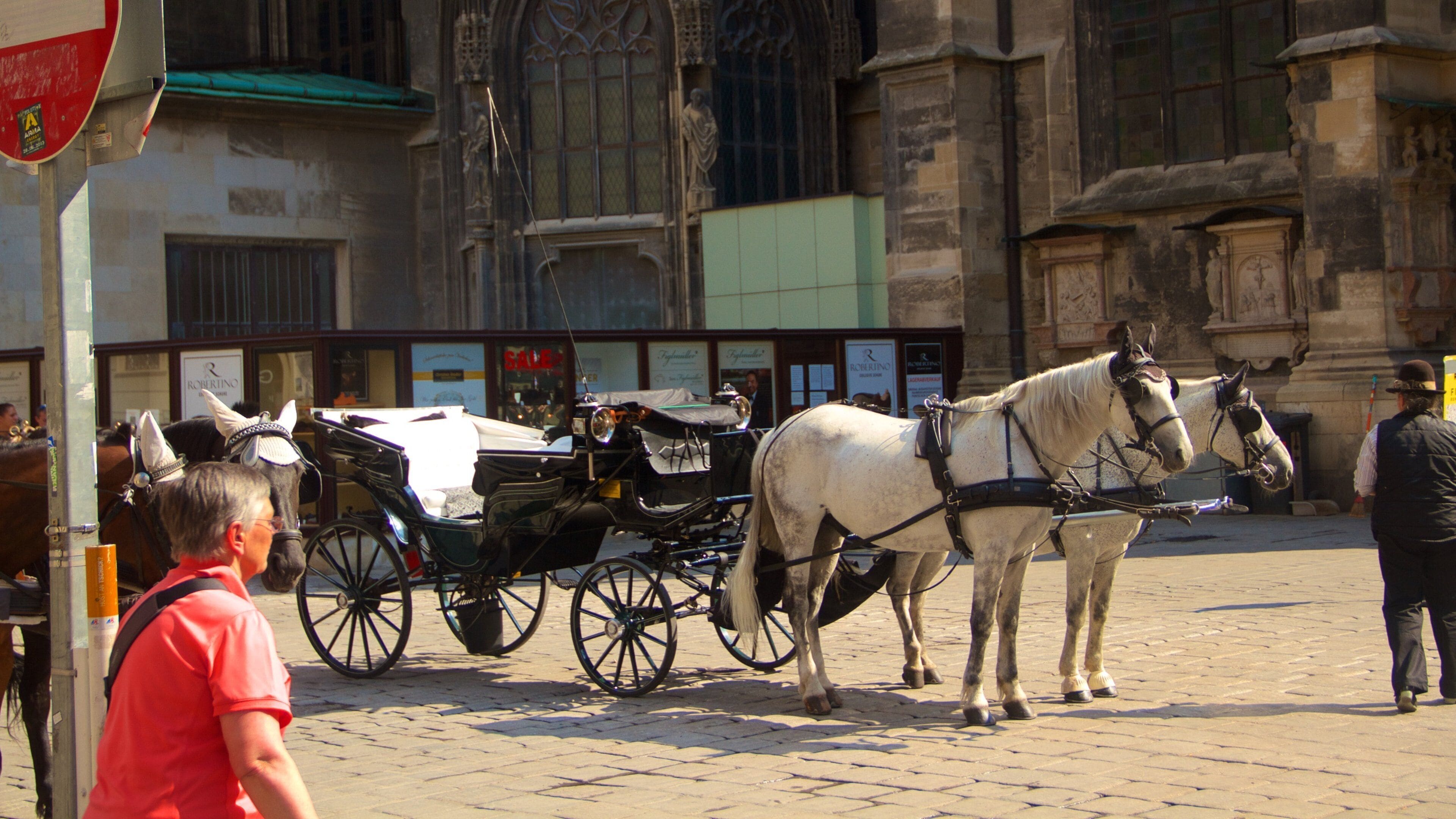 斯特凡廣場 设有 街道景色 和 陸上動物