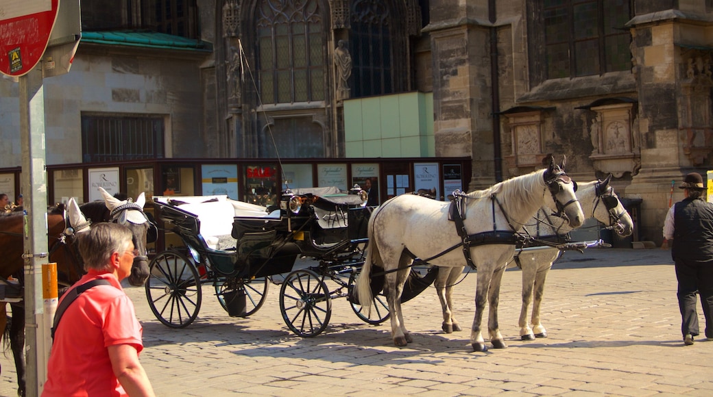 斯特凡廣場 设有 街道景色 和 陸上動物