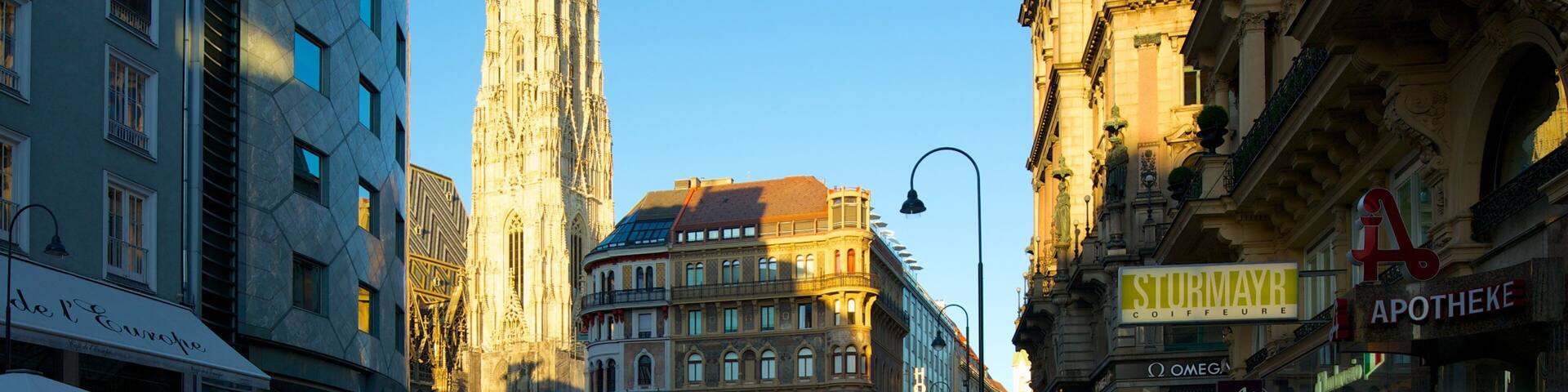 Stephansplatz featuring a city, heritage elements and a church or cathedral