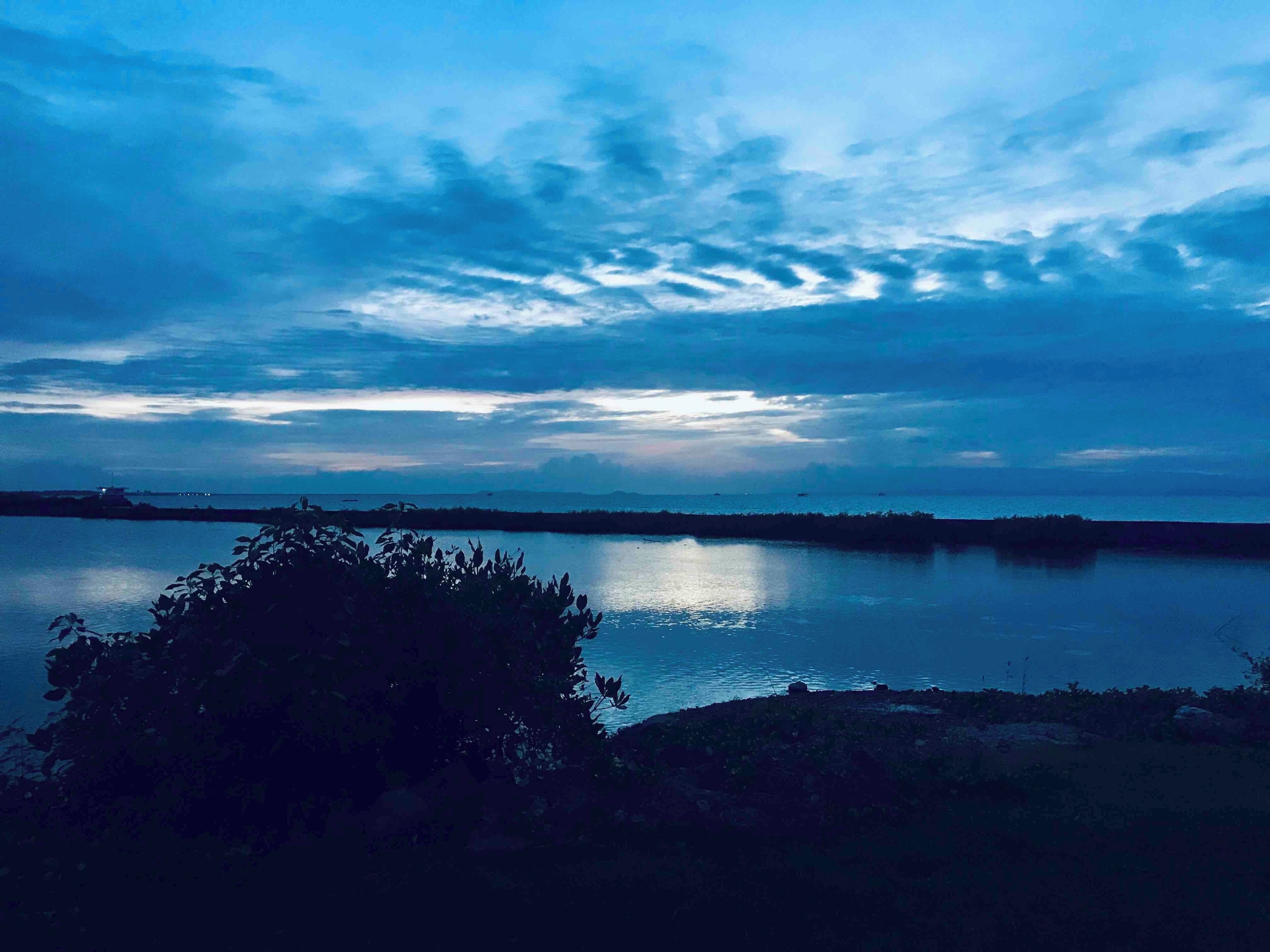 Welcome to Palmas Del Mar