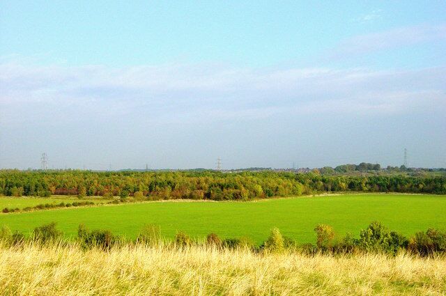 Swallow Pond Nature Reserve Looking north from the Rising Sun Pit Heap