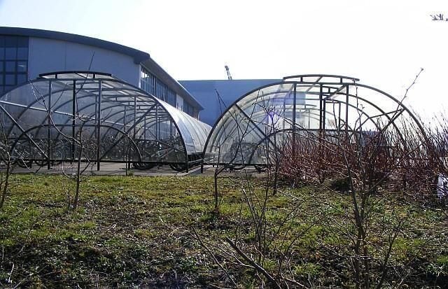 Burnside School - Cycle sheds In this case there is absolutely no point in meeting behind the bike sheds!